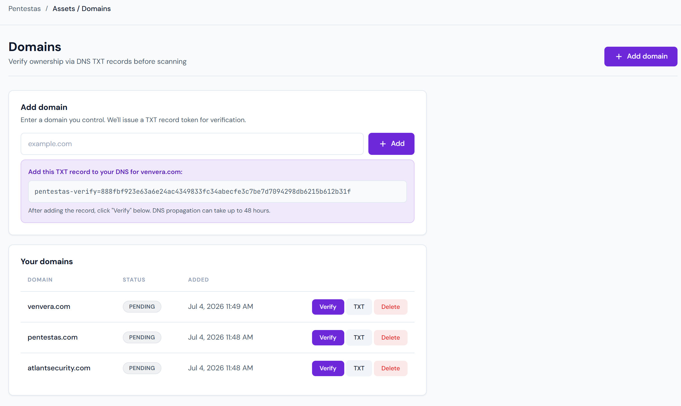 Verify domain ownership via a DNS TXT record before scanning — an authorisation guardrail baked into the platform.