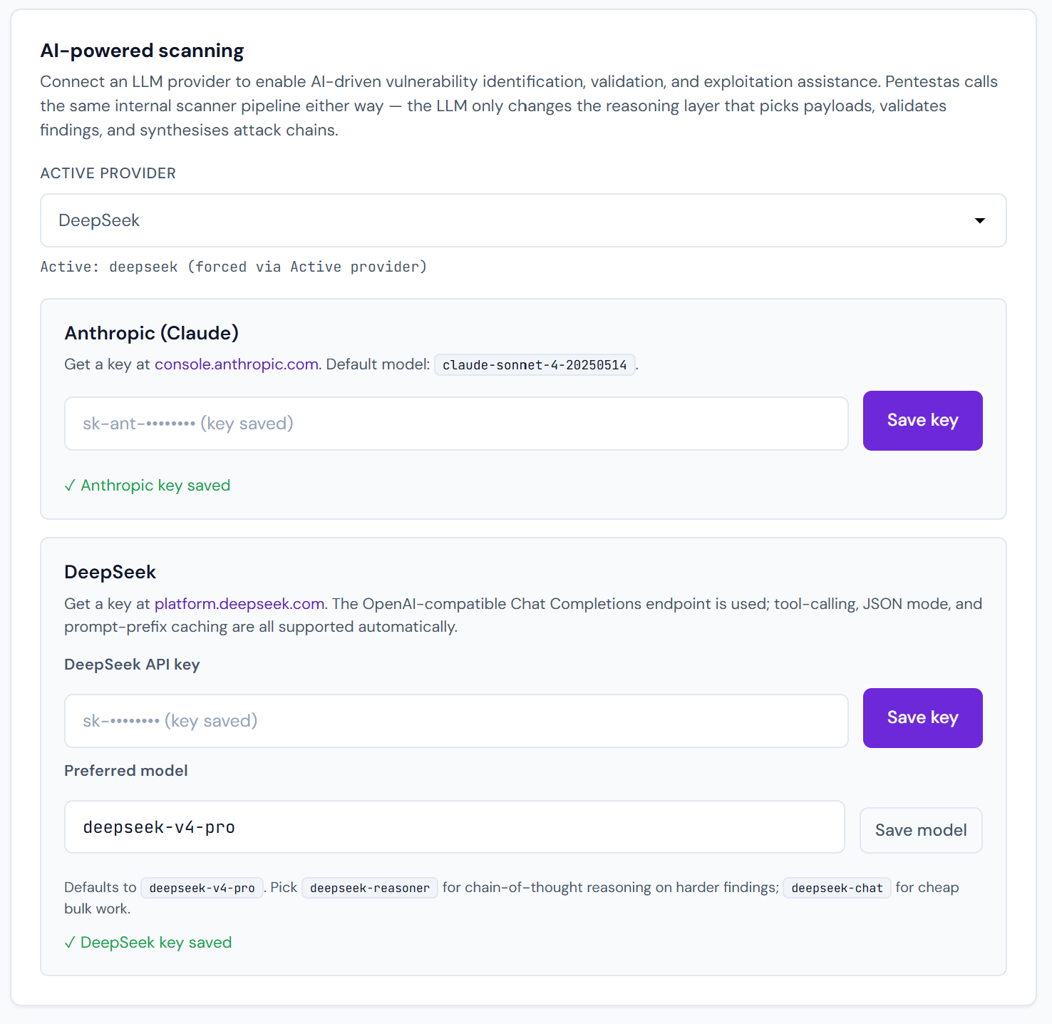 AI-powered scanning — connect your own Anthropic (Claude) and/or DeepSeek keys and choose the active provider and preferred model.