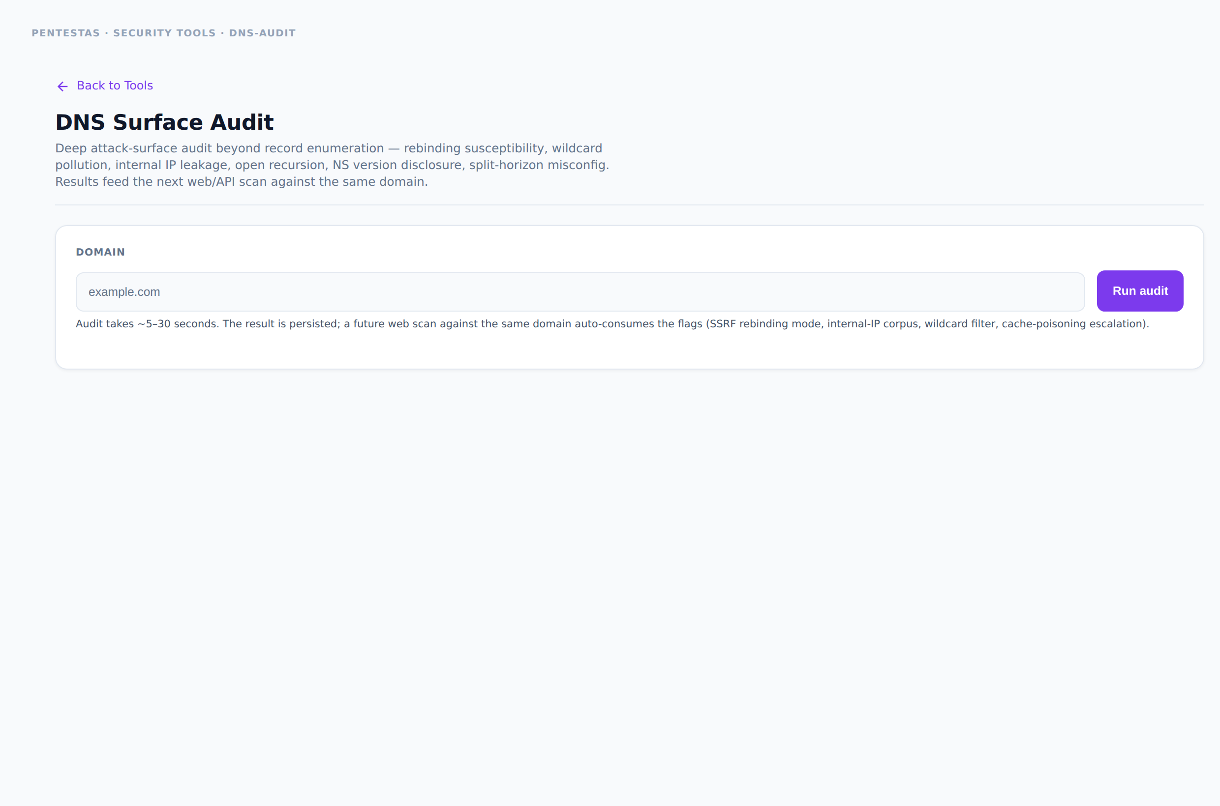 DNS Surface Audit — Six DNS posture checks: rebinding, wildcard, internal IP leaks, open recursion, NS version, split-horizon.
