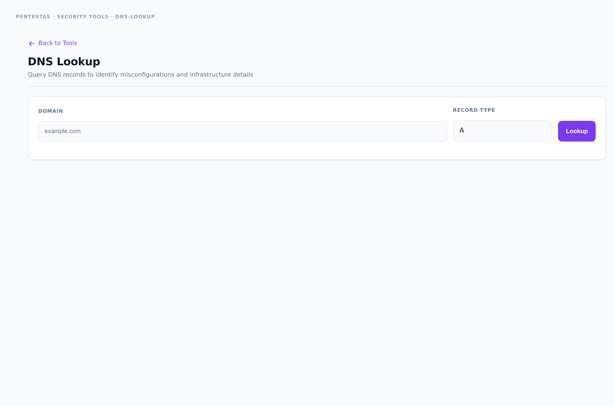 DNS Lookup — Query DNS records to map infrastructure and spot misconfigurations.