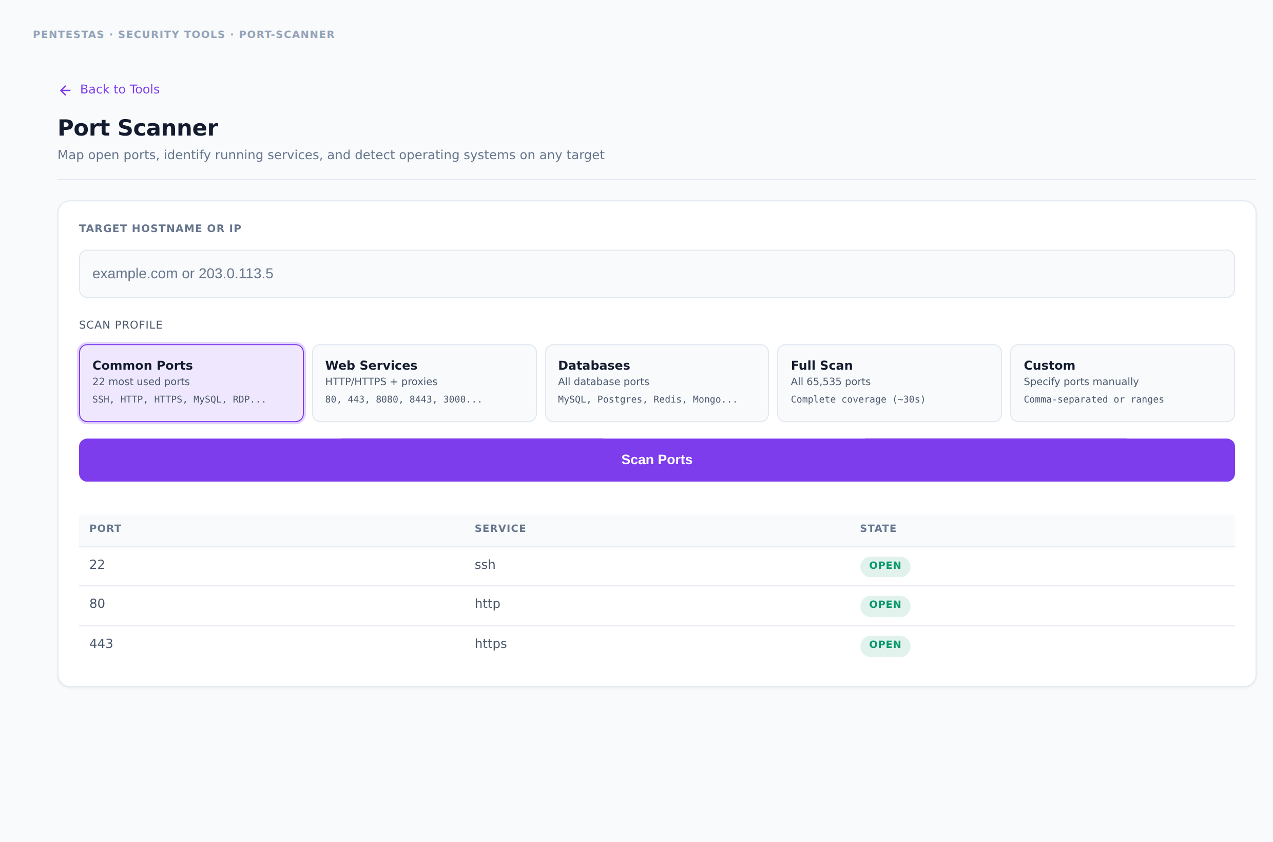 Port Scanner — Map open ports, identify running services, and fingerprint hosts.